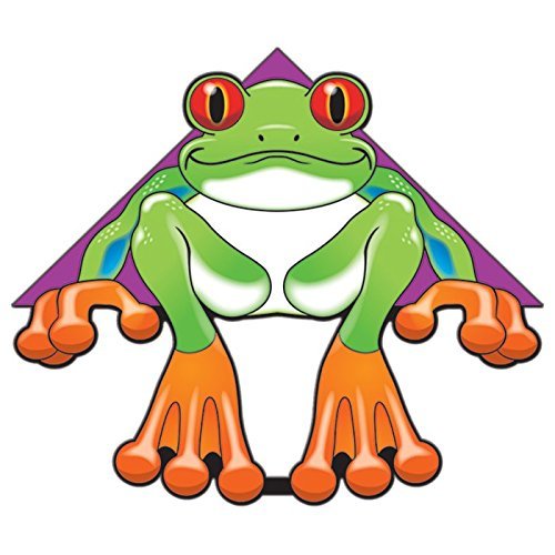 WindNSun DeltaXT 2-D Nylon Kite - 54" - YoYoSam