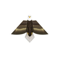 XKites Birds of Feather - 54 inch Kite - YoYoSam