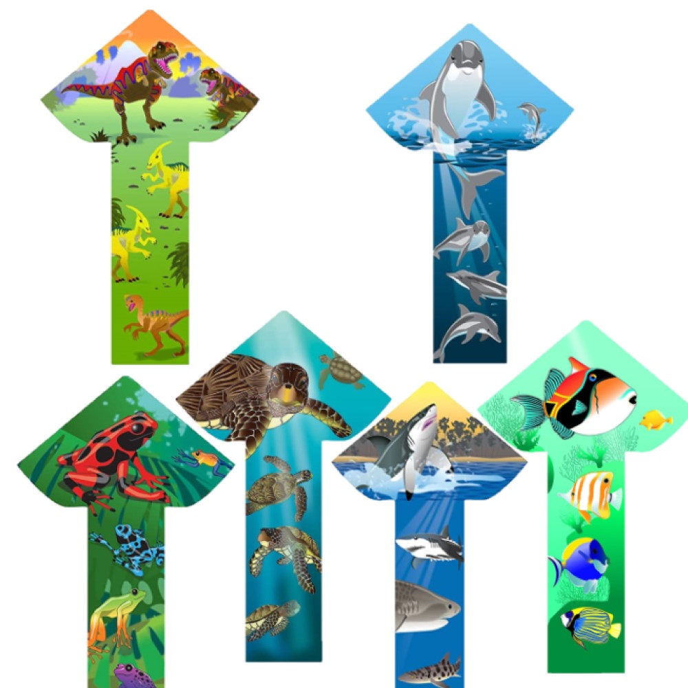 WindNSun Breezyfliers 42" Kite - Tails, Handle, Line Included - YoYoSam