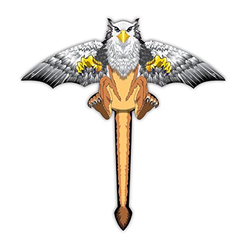 WindnSun Fantasy Flier Kite - YoYoSam