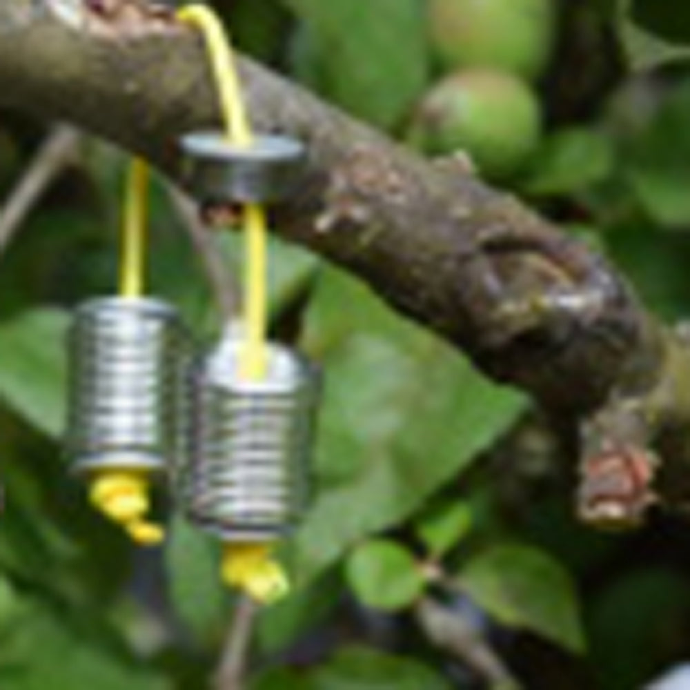 Rain City Begleri - The Fidget Slinger - YoYoSam