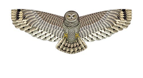 X-Kites Birds of Prey Kite 48" - Great Detail! - YoYoSam