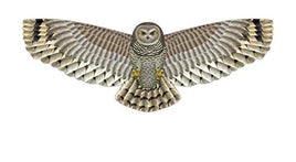 X-Kites Birds of Prey Kite 48" - Great Detail! - YoYoSam