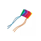 X-Kites Skyfoil - Frameless Parafoil Kite - YoYoSam