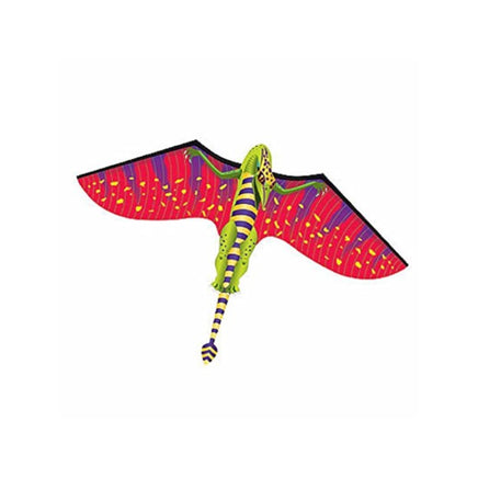 WindnSun Fantasy Flier Kite - YoYoSam