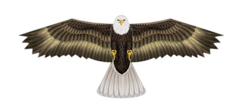 X-Kites Birds of Prey Kite 48" - Great Detail! - YoYoSam