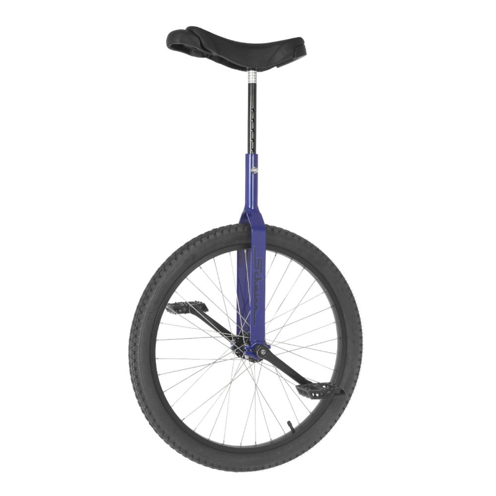 Schwinn 24