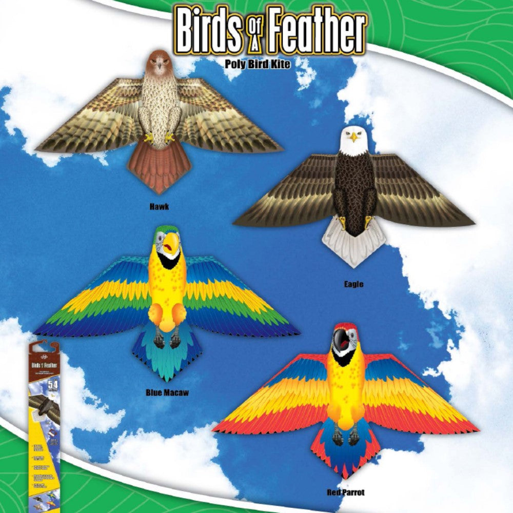 XKites Birds of - inch Kite| YoYoSam
