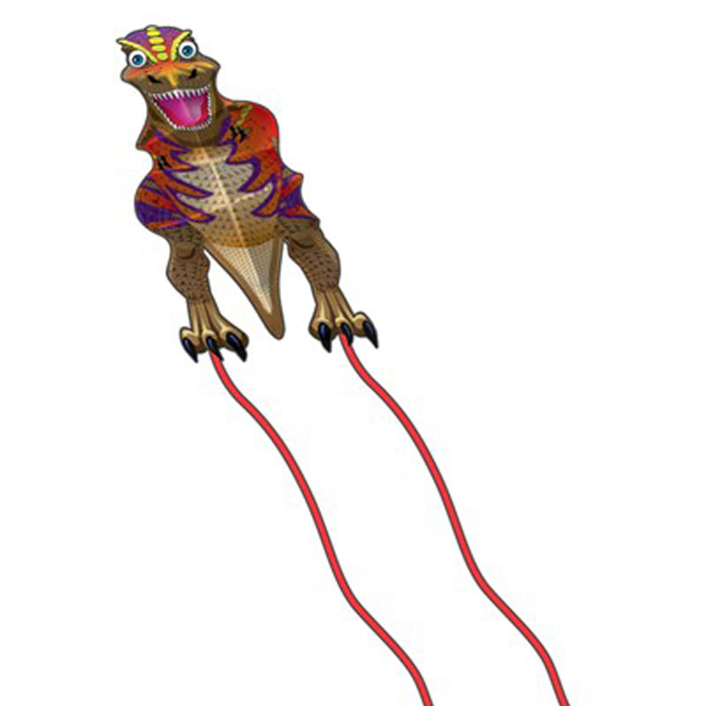 WINDNSUN Wiggle Kite Easy to Assemble and very Stable with SkyTails® - YoYoSam