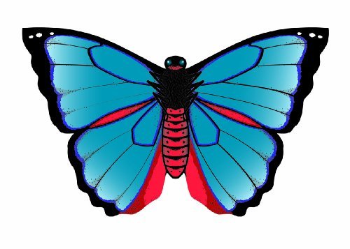 WindnSun Butterfly Kite 32" - Gorgeous Colors! - YoYoSam