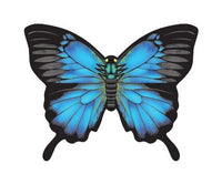 WindNSun Microkite Mini Mylar Butterfly 4.7" - YoYoSam