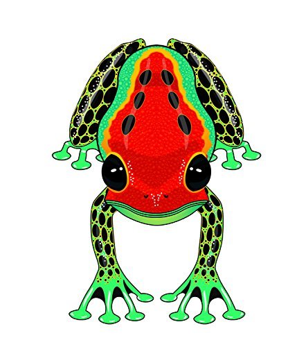 WindnSun Rainforest Nylon Kite - YoYoSam