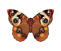 WindNSun Microkite Mini Mylar Butterfly 4.7" - YoYoSam