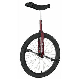 Schwinn 24" Retro Unicycle