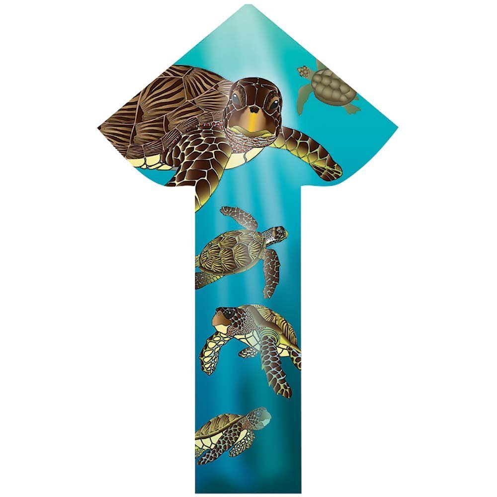 WindNSun Breezyfliers 42" Kite - Tails, Handle, Line Included - YoYoSam